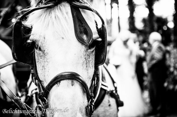 Laura und Kai (91).jpg